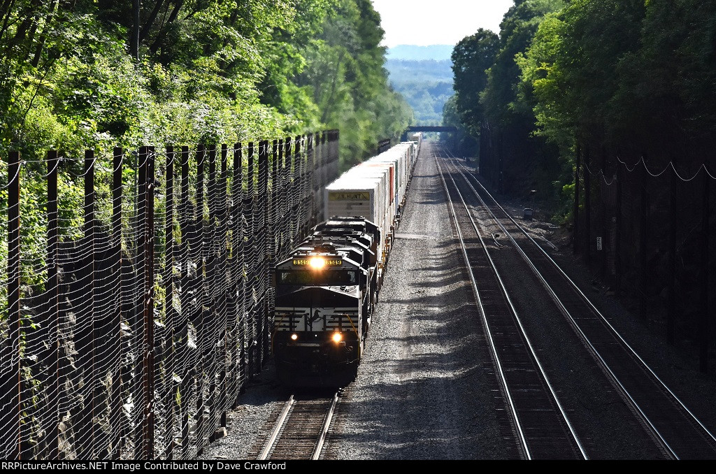 NS 8149